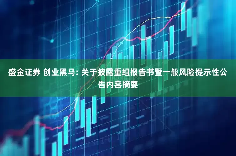 盛金证券 创业黑马: 关于披露重组报告书暨一般风险提示性公告内容摘要