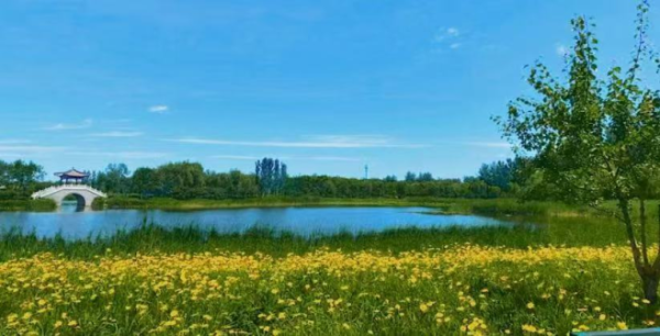 笑赢配资 北京首个全域零碳公园，绿心5年迎客超1500万人次